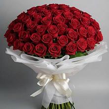 Букет 101 Красная роза Блэк Мэджик в Высокая Гора Татарстан