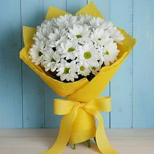 Букет цветов из:  Хризантемы в Высокая Гора Татарстан