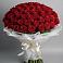 Букет 101 Красная роза Блэк Мэджик в Высокая Гора Татарстан