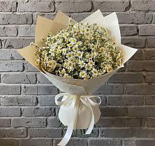 Букет цветов из:  Ромашки в Высокая Гора Татарстан