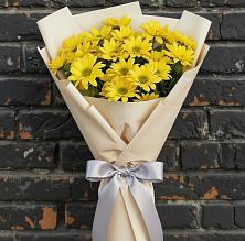 Букет цветов из:  Хризантемы в Высокая Гора Татарстан