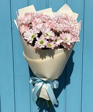 Букет цветов из:  Хризантемы #REPLACE_PRED# Высокая Гора Татарстан