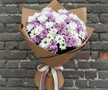 Букет цветов из:  Хризантемы #REPLACE_PRED# Высокая Гора Татарстан