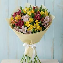 Букет цветов из:  Альстромерии в Высокая Гора Татарстан