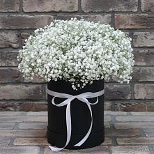 Цветочная композиция из Гипсофила в шляпной коробке в Высокая Гора Татарстан