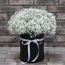 Цветочная композиция из Гипсофила в шляпной коробке в Высокая Гора Татарстан