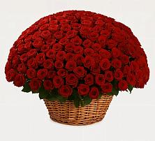 Премиум букет из: Розы в Высокая Гора Татарстан