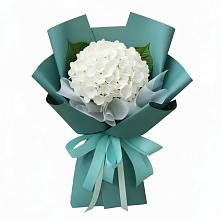 Букет цветов из:  Гортензия в Высокая Гора Татарстан